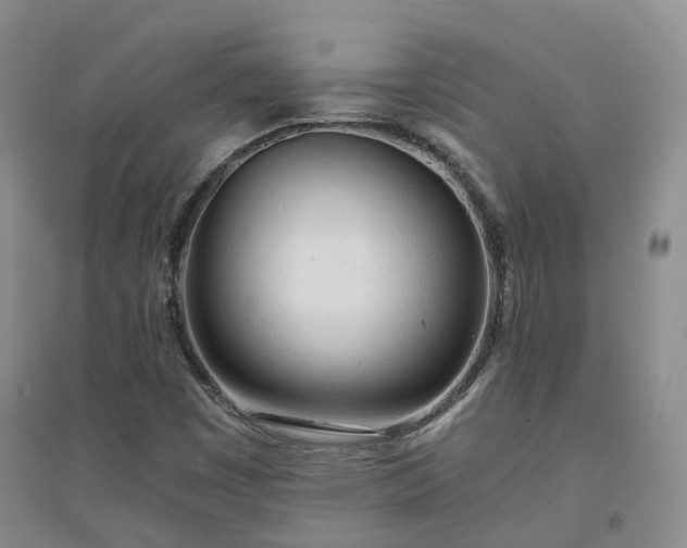 X0000094321449200711091330