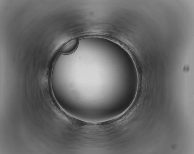 X0000094321450200711091330