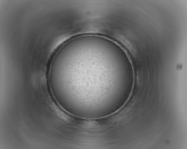 X0000094321452200711091330
