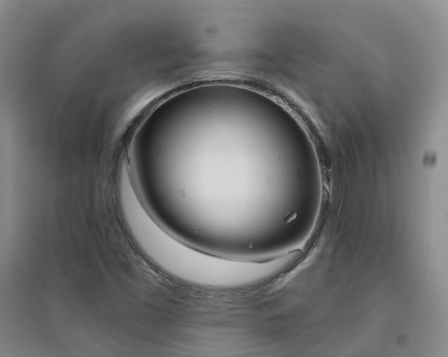 X0000094321453200711091330