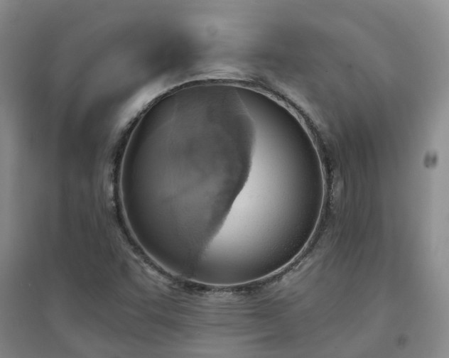 X0000094321455200711091330