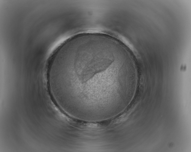 X0000094321456200711091330