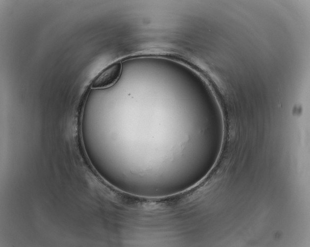 X0000094321459200711091330