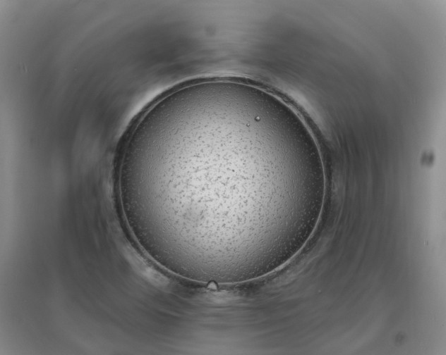 X0000094321460200711091330