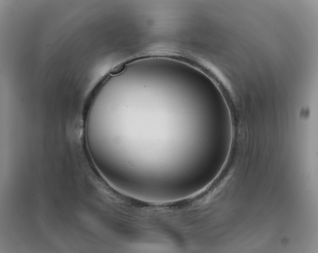 X0000094321461200711091330