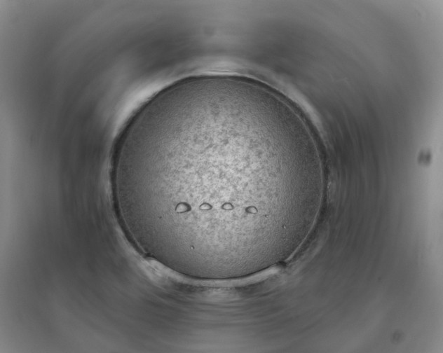 X0000094321464200711091330