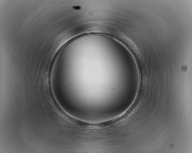 X0000094321465200711091330