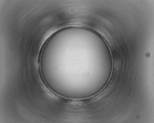 X0000094321466200711091330