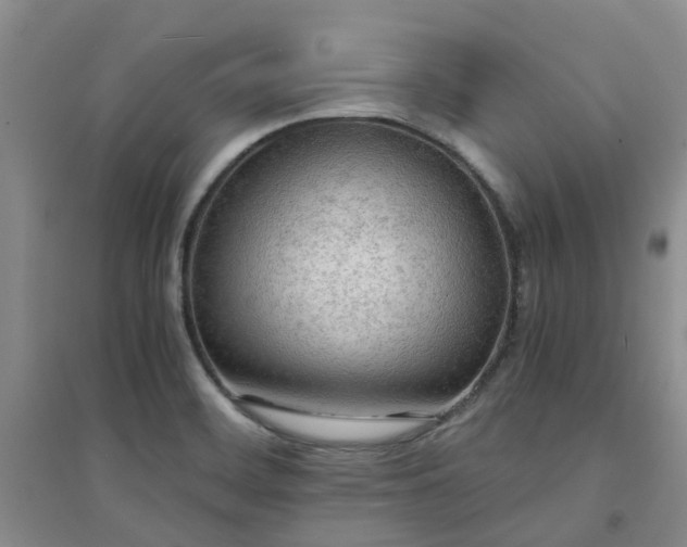 X0000094321468200711091330