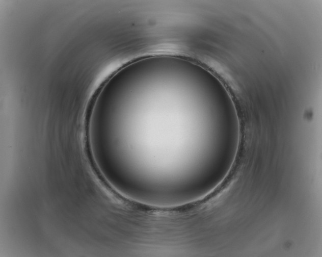 X0000094321469200711091330