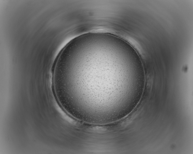 X0000094321476200711091330