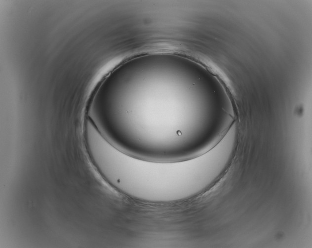 X0000094321477200711091330