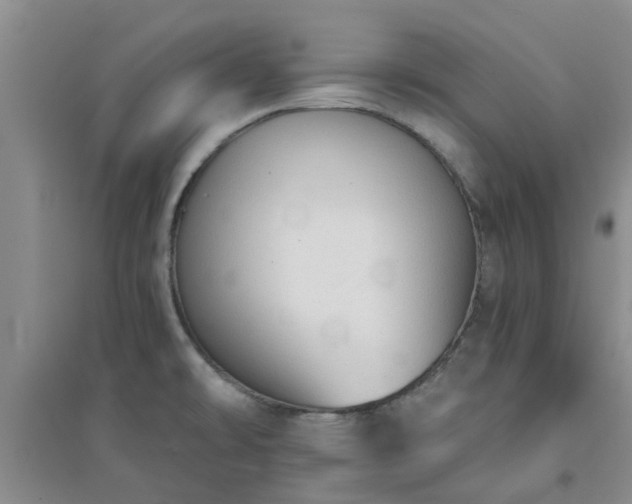 X0000094321478200711091330