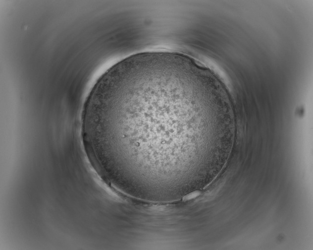 X0000094321480200711091330