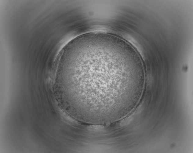 X0000094321481200711091330