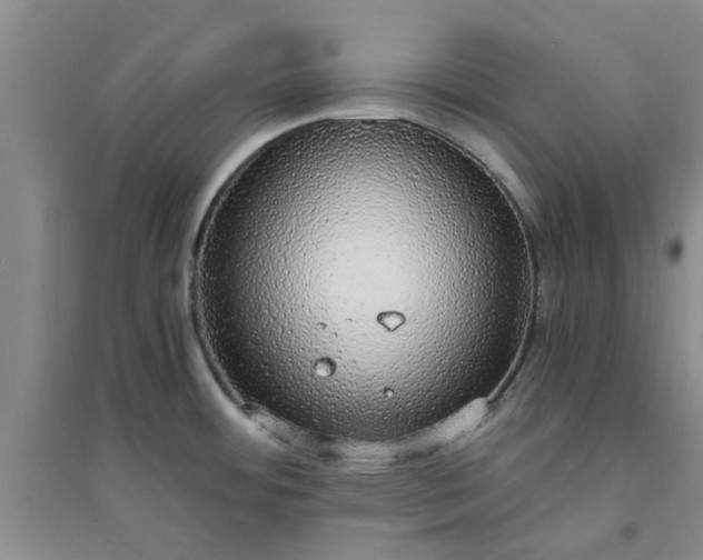 X0000094321484200711091330