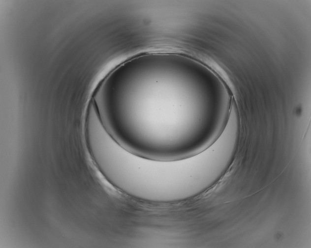 X0000094321485200711091330