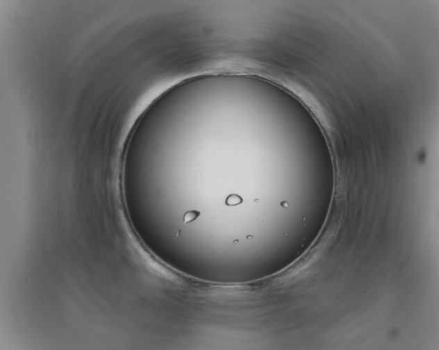 X0000094321486200711091330