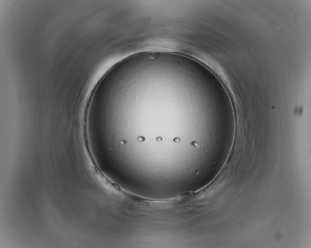 X0000094321488200711091330