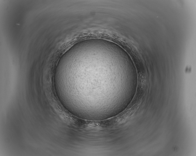 X0000094321489200711091329