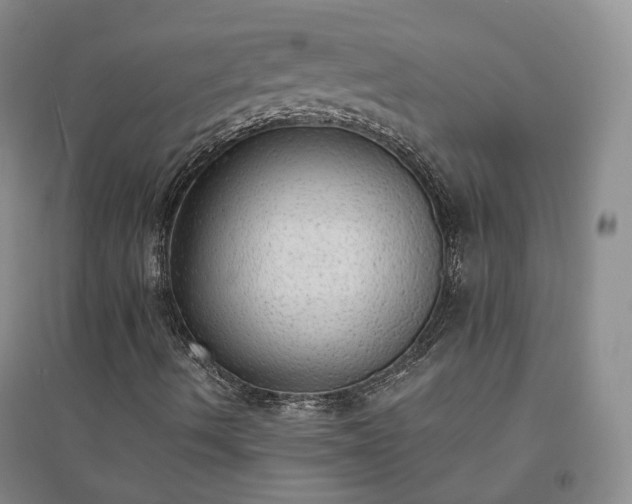 X0000094321490200711091329