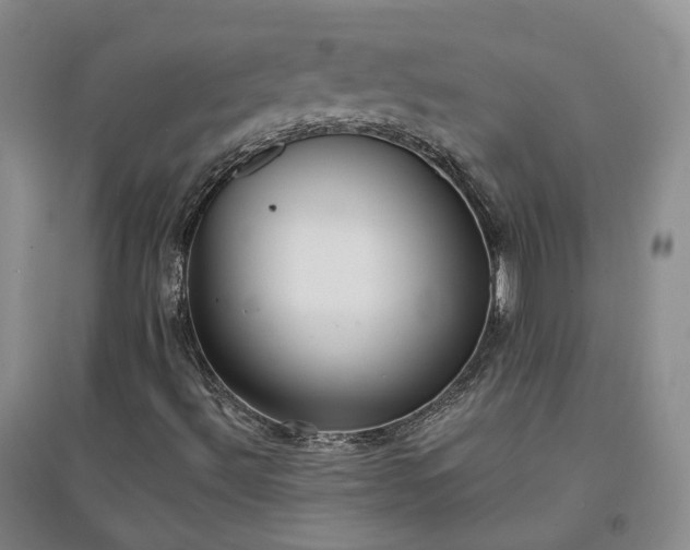 X0000094321492200711091329
