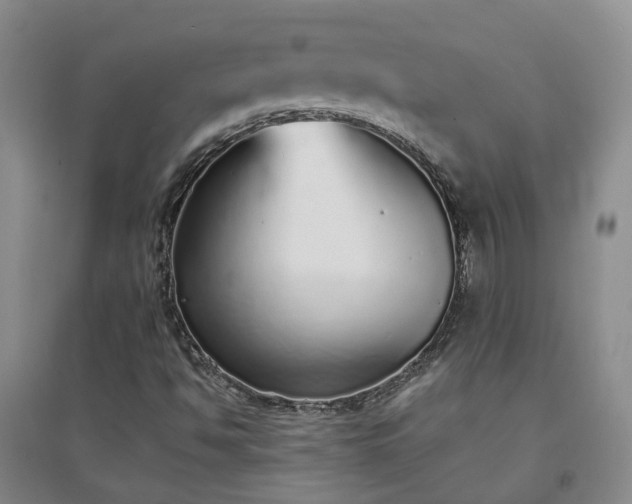 X0000094321494200711091329