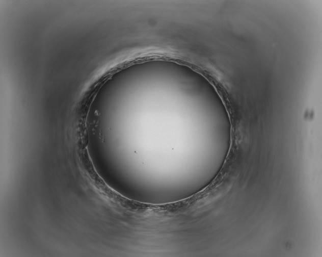 X0000094321496200711091329