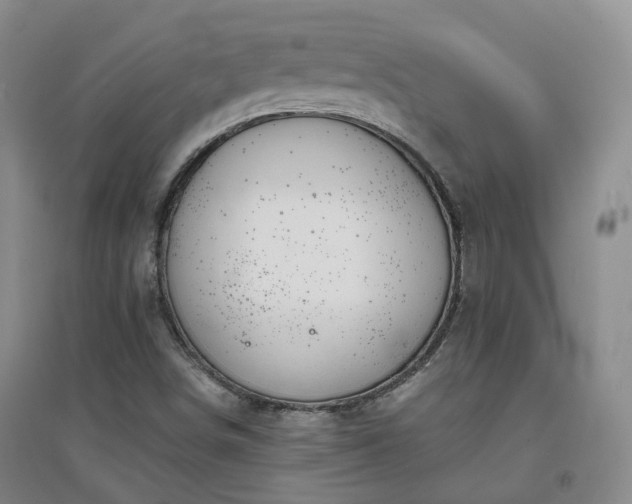 X0000094321498200711091329