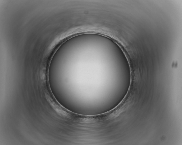 X0000094321499200711091329