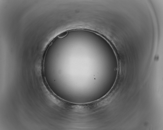X0000094321500200711091329