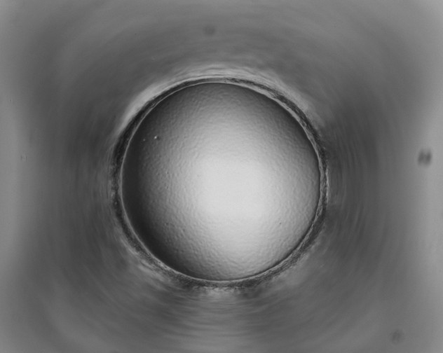 X0000094321501200711091329