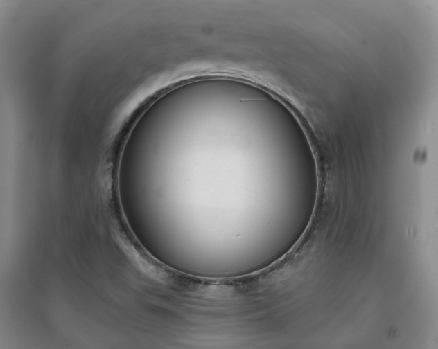 X0000094321503200711091329