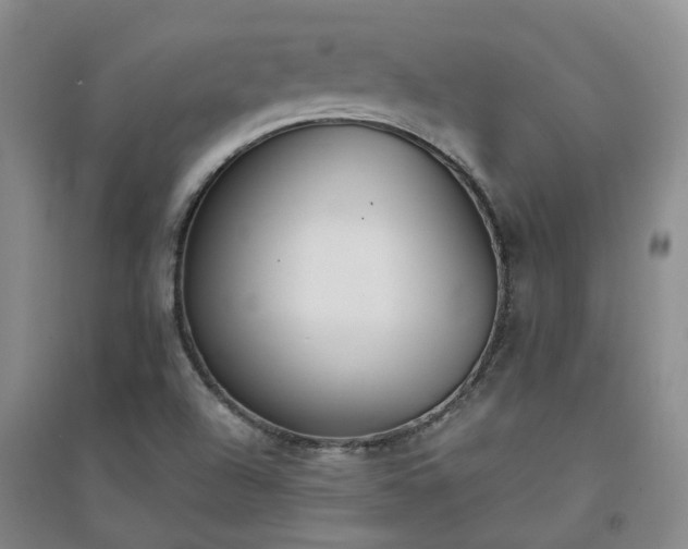 X0000094321504200711091329