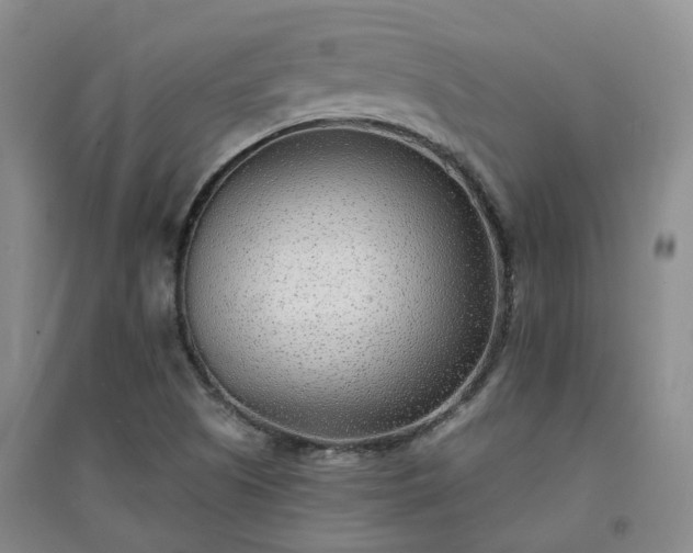 X0000094321505200711091329