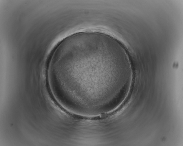 X0000094321506200711091329