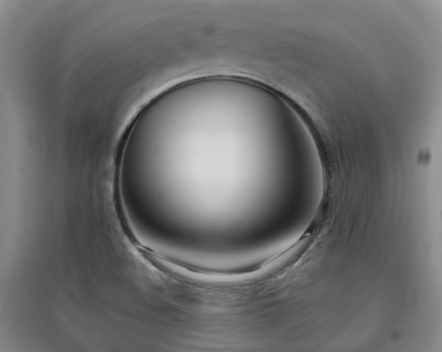 X0000094321508200711091329