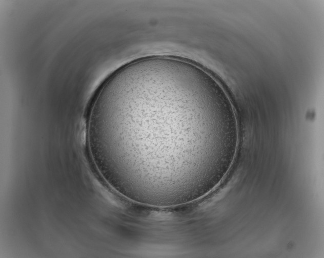 X0000094321509200711091329