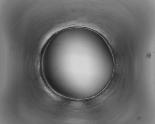 X0000094321511200711091329
