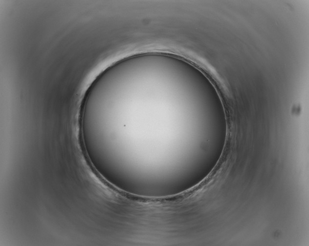 X0000094321512200711091329