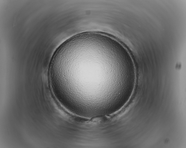 X0000094321513200711091329