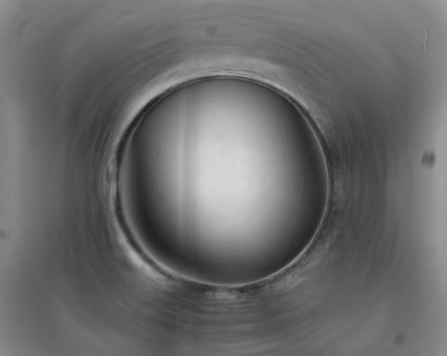 X0000094321515200711091329