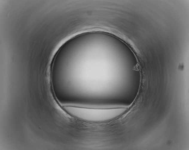 X0000094321516200711091329