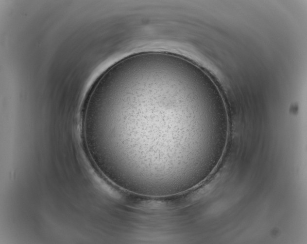 X0000094321517200711091329