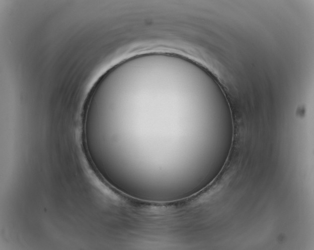 X0000094321518200711091329