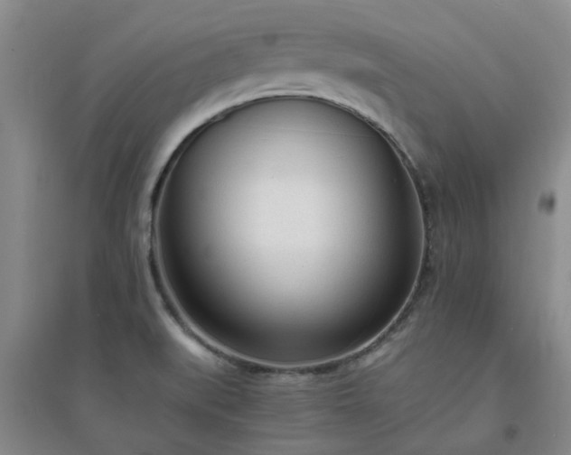 X0000094321519200711091329