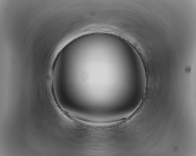 X0000094321520200711091329