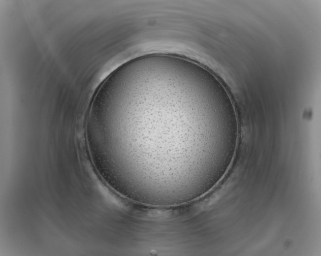 X0000094321521200711091329