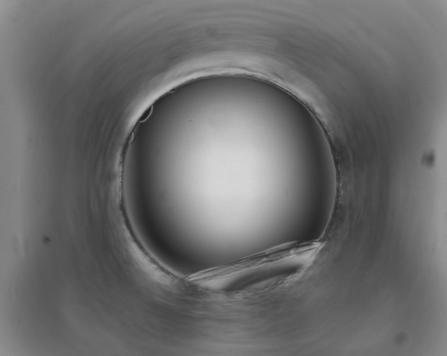 X0000094321524200711091330
