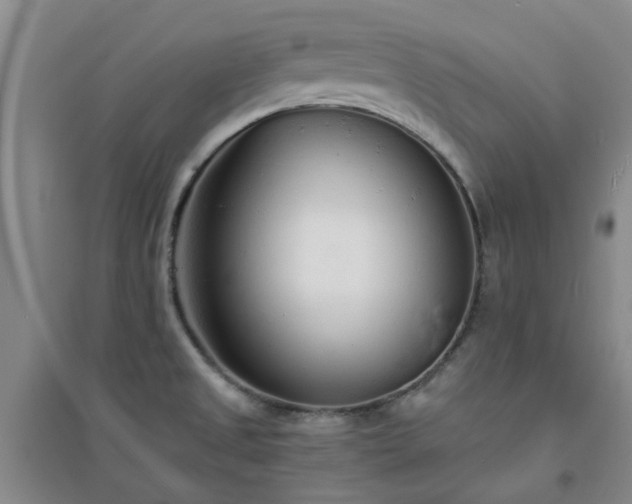 X0000094321525200711091330